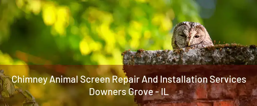 Chimney Animal Screen Repair And Installation Services Downers Grove - IL