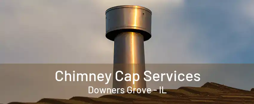 Chimney Cap Services Downers Grove - IL