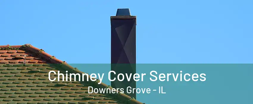 Chimney Cover Services Downers Grove - IL