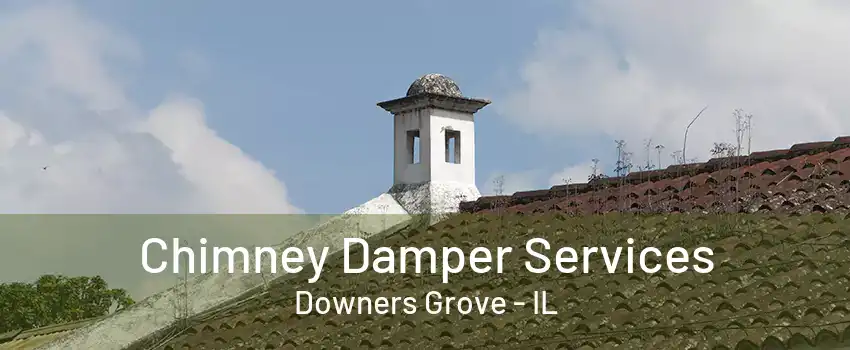 Chimney Damper Services Downers Grove - IL