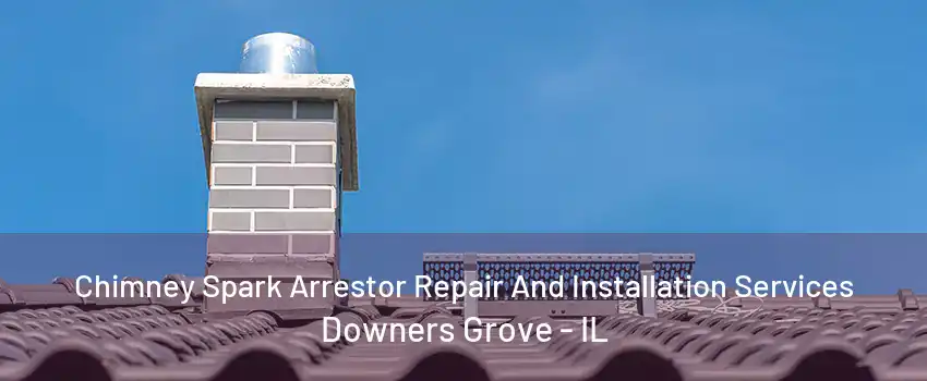 Chimney Spark Arrestor Repair And Installation Services Downers Grove - IL