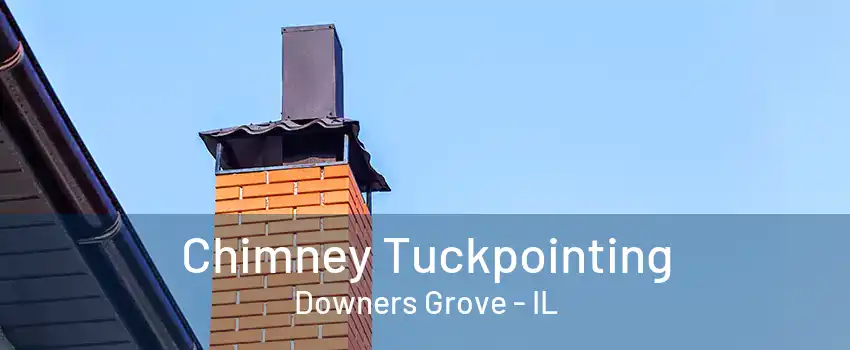 Chimney Tuckpointing Downers Grove - IL