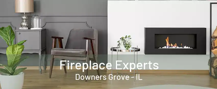 Fireplace Experts Downers Grove - IL