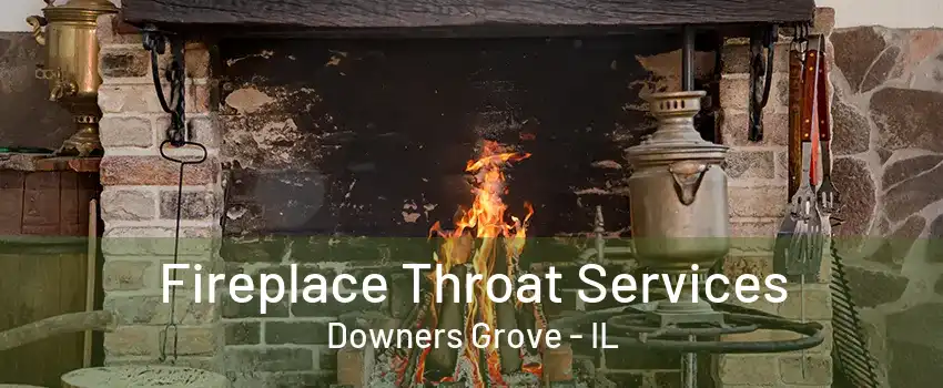 Fireplace Throat Services Downers Grove - IL