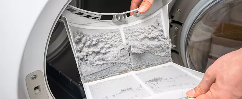 Best Dryer Lint Removal Company in Downers Grove, Illinois