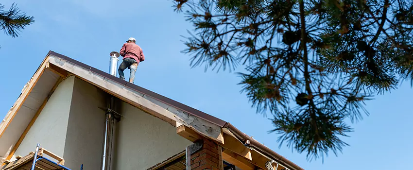 Birds Removal Contractors from Chimney in Downers Grove, IL