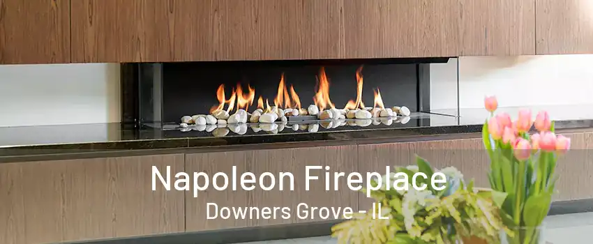 Napoleon Fireplace Downers Grove - IL